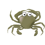 Green crab