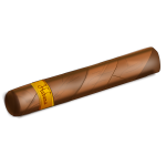 Cuban cigar