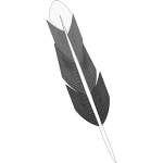 Drawing of grey feather