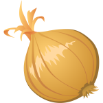 Onion