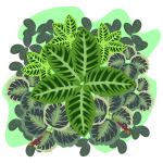 Green foliage clip art