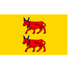 Bearn region flag vector clip art