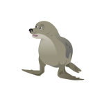 Grey seal