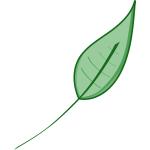 Green leaf