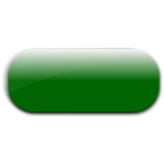 Horizontal pill shaped green button vector image