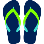 Flipflops vector image