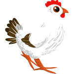 White chicken