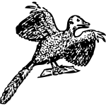 Archaeopteryx