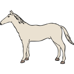 horse