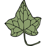 ivy leaf 5