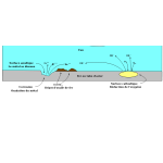 cellule de corrosion