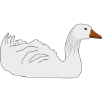 White goose