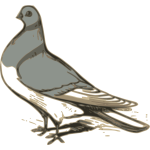 Vector clip art of grey pigeon illustration