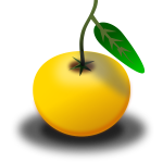 Vector clip art of ripe orange in color