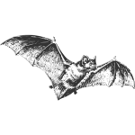 bat