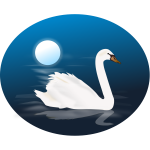 Swan in water