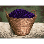 Plum basket vector image