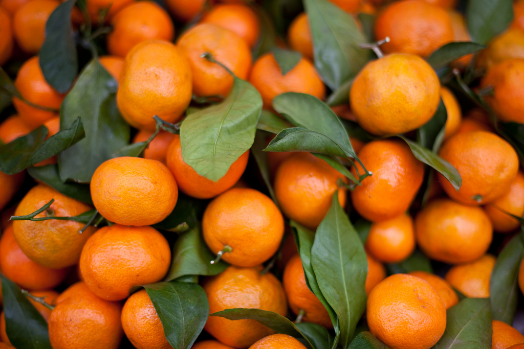 Types Of Tangerines