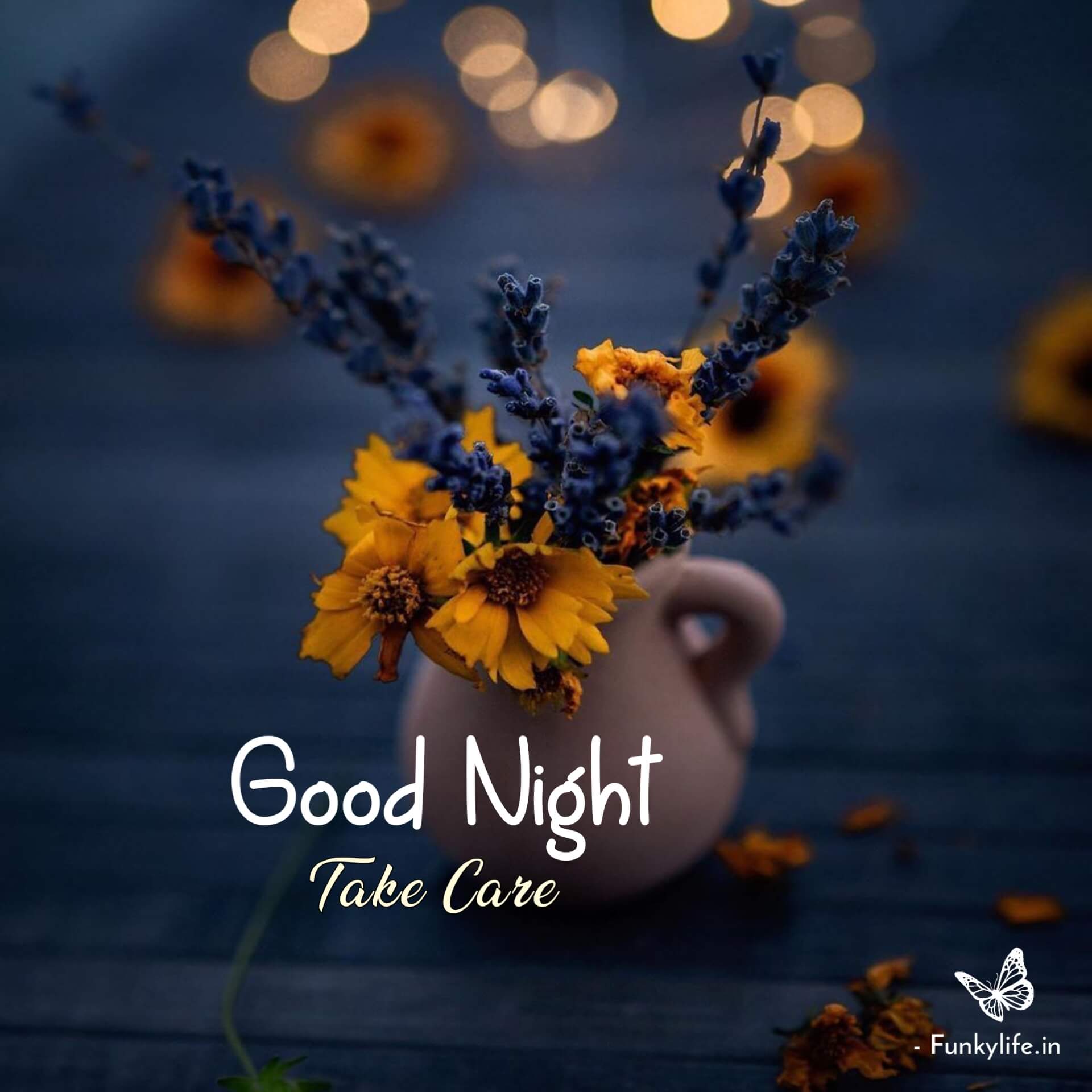 Take Care Good Night Photo Images