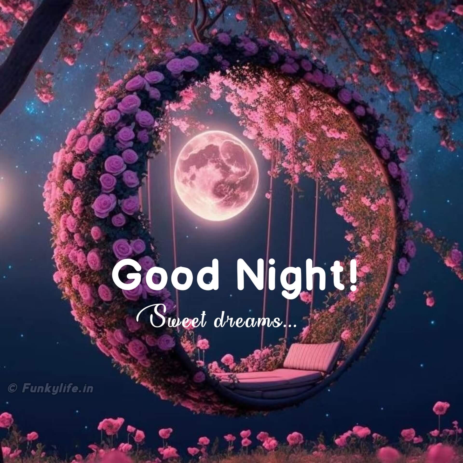 Beautiful Good Night Image