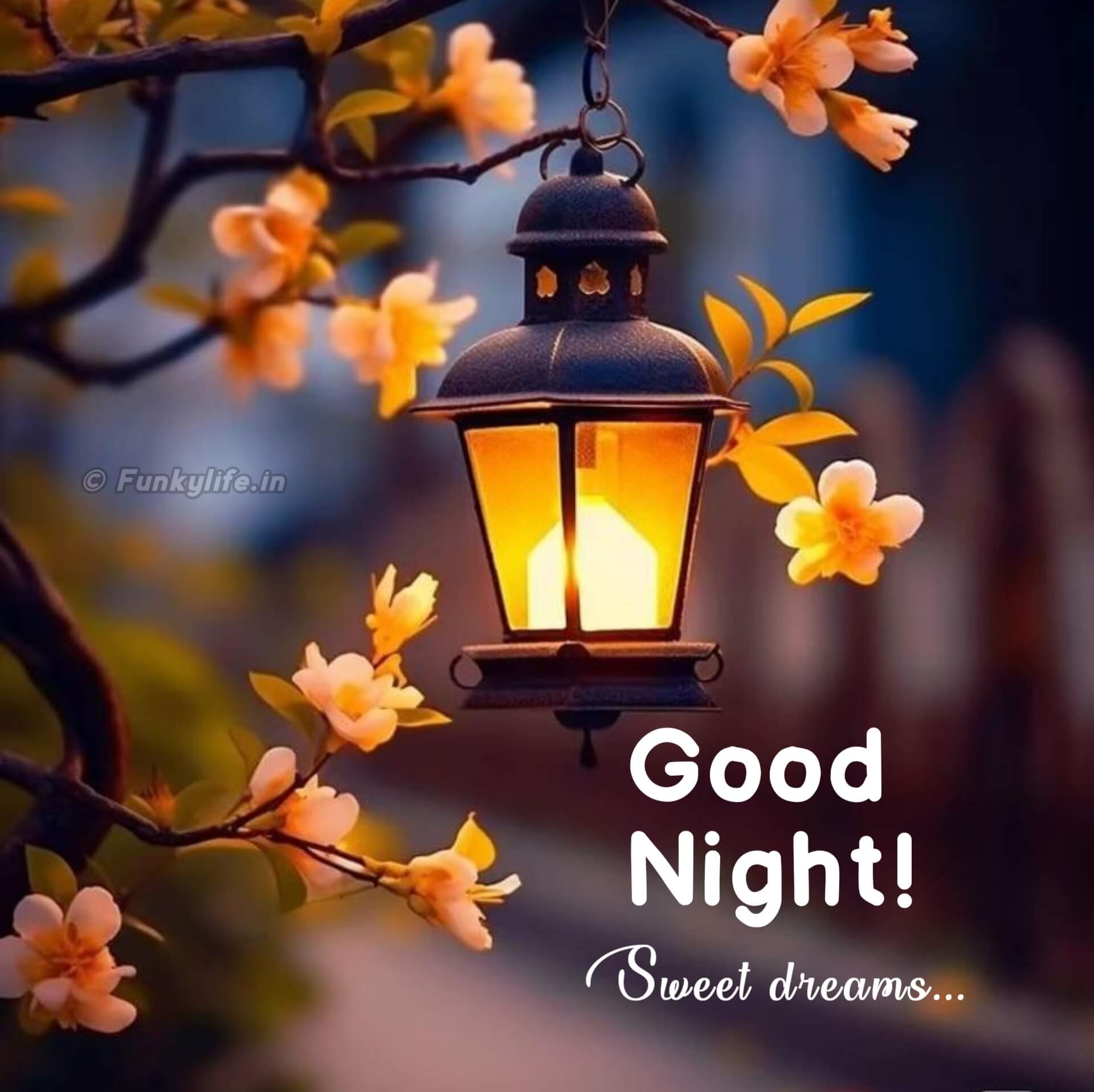 HD Good Night Image