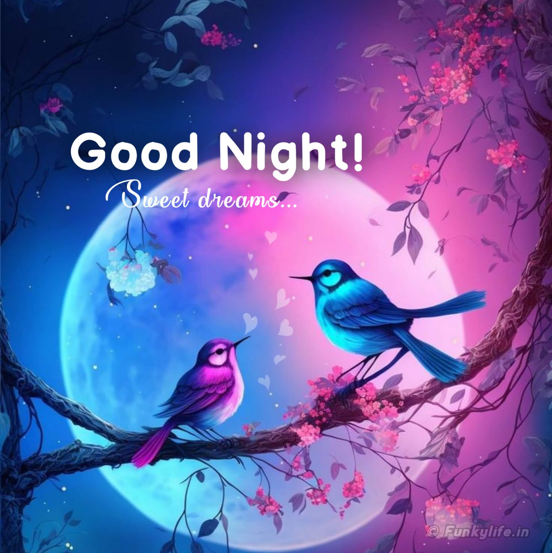 New Good Night Image