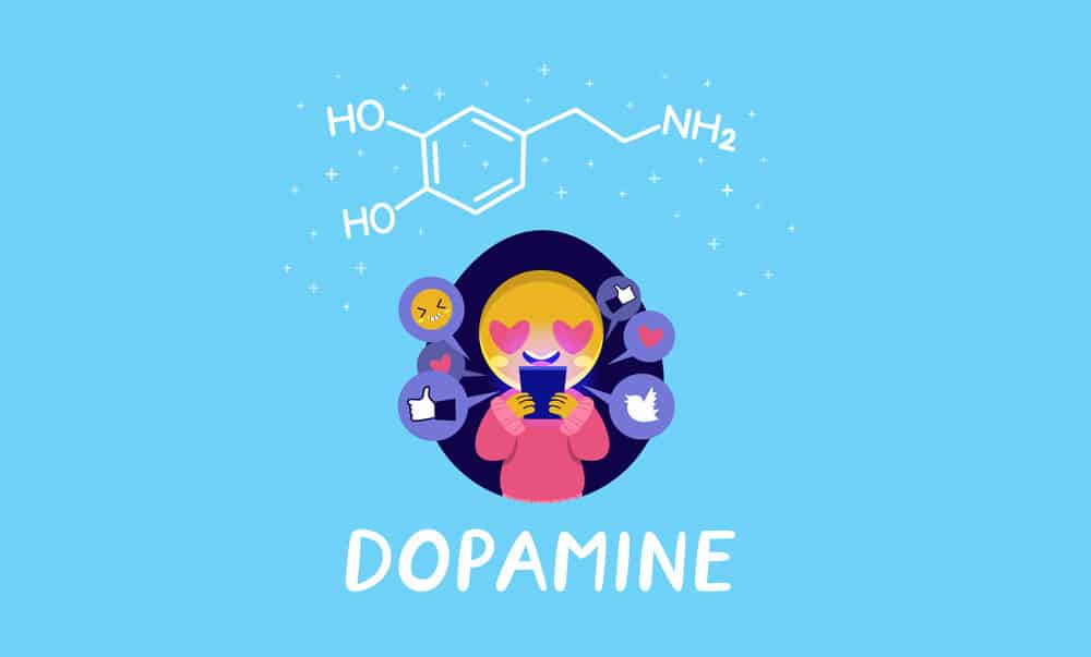 dopamine theory of addiction