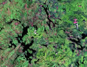 Maine Satellite Image