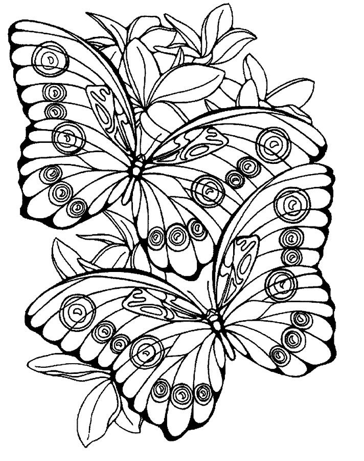 Large Print Coloring Pages at GetColorings.com | Free printable ...