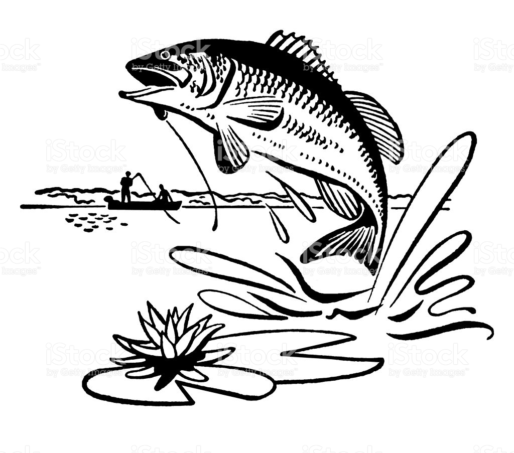 List 91+ Pictures Bass Fish Pictures Clip Art Stunning 10/2023