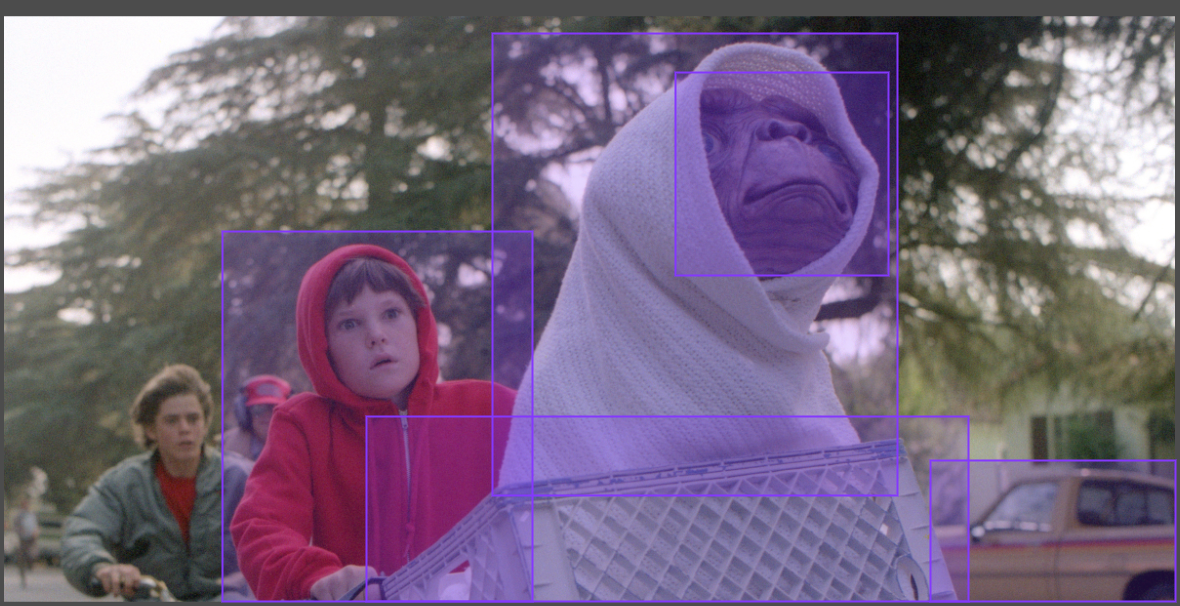 INPUT: A folder of images with Yolo bounding box and/or polygon annotations