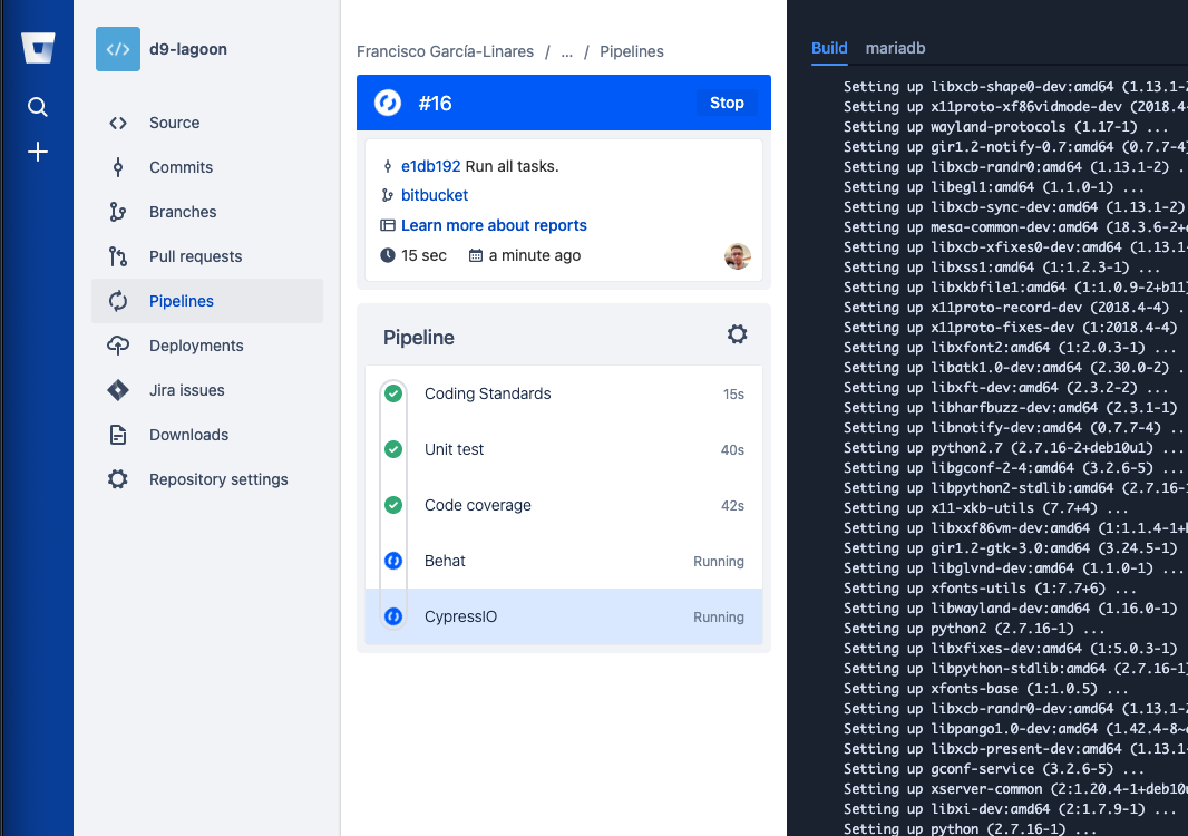 Bitbucket pipelines