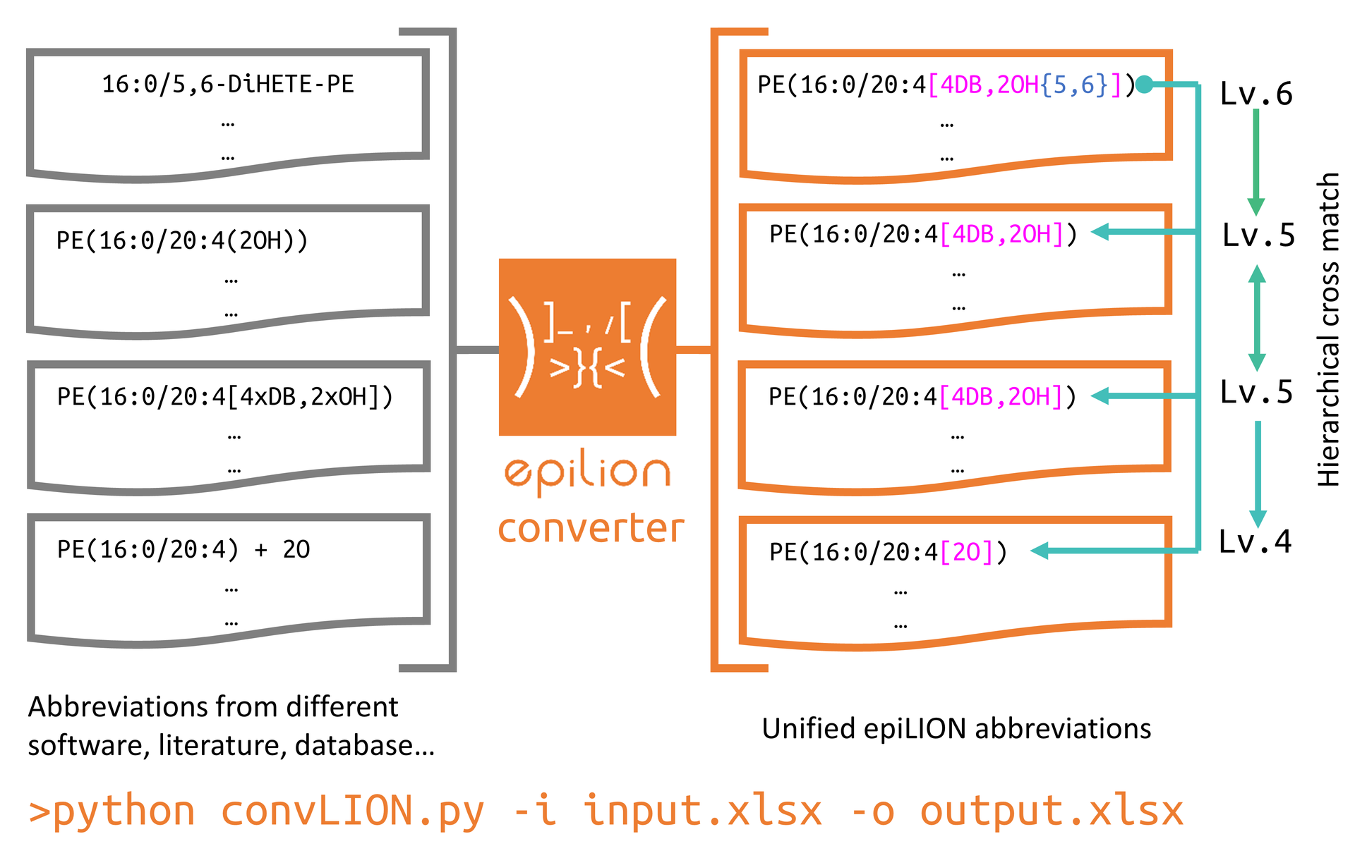 epiLION_converter