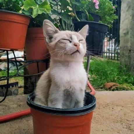 User avatar: Maxime Louet