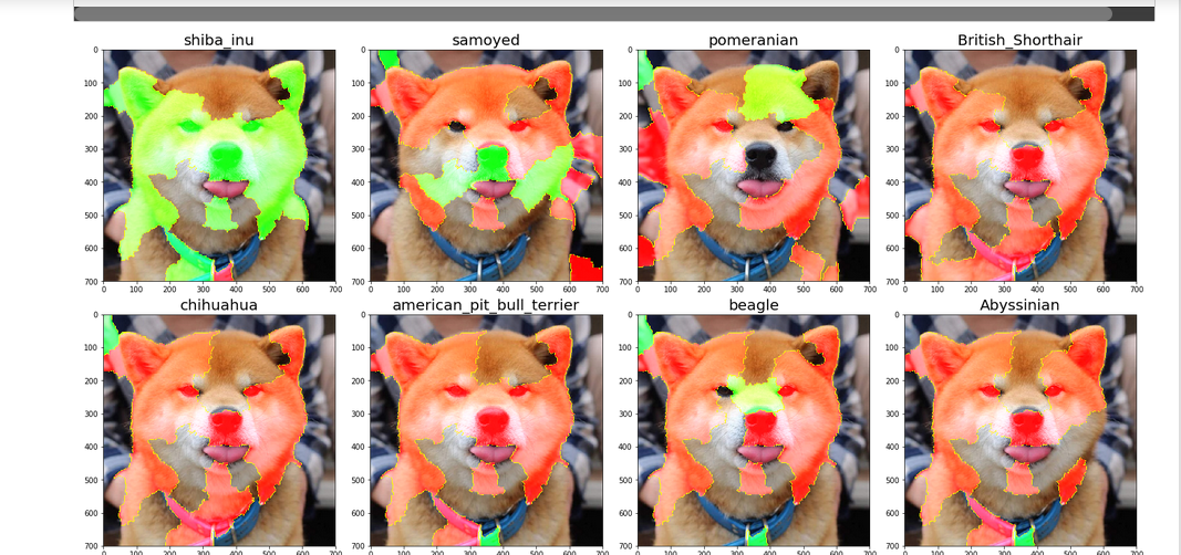 Dog Breed Classification!