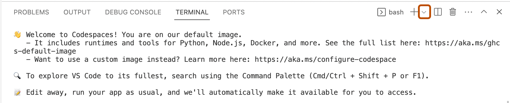 Screenshot of the integrated terminal in {% data variables.product.prodname_vscode_shortname %}. Next to the plus icon, a downward-facing arrow is outlined in orange.