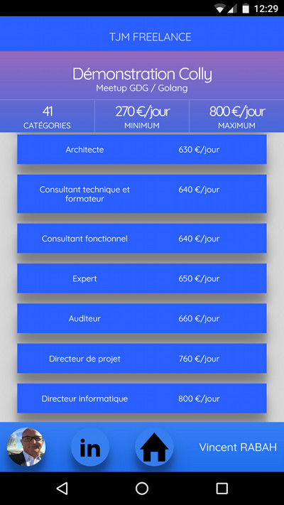 freelance vuejs