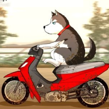 imguolao's avatar
