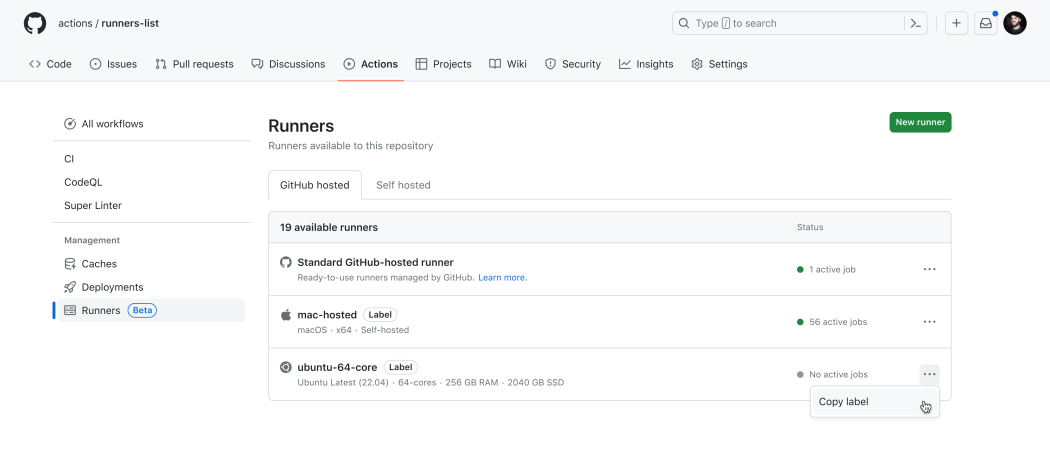 Repository Actions Runners List