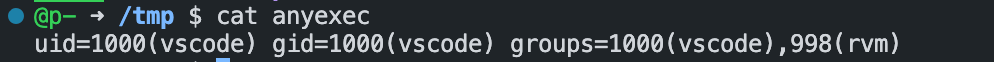 A screenshot showing the contents of the /tmp/anyexec file which contains the output of the id command.