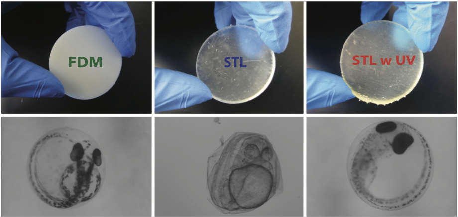 Toxicity of 3D-printed parts