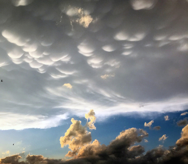 mammatus clouds