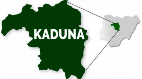 Kaduna State Police Command has rescued two kidnapped victims as they also recovered 283 suspected rustled cows and 20 sheep