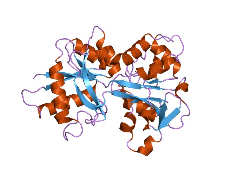 File:PDB 1n84 EBI.jpg