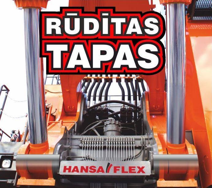 Rūdītas tērauda tapas