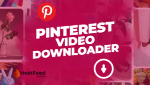 Pinterest Video Downloader