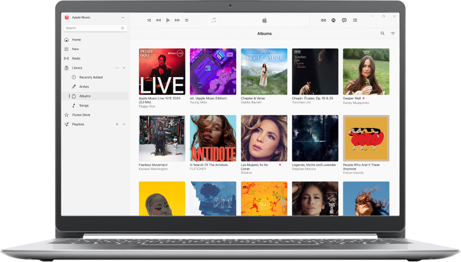 Apple Music 視窗及包含專輯的資料庫。