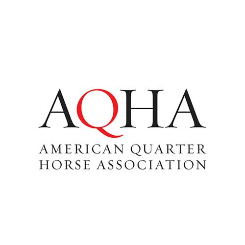 American Quarter Horse Association