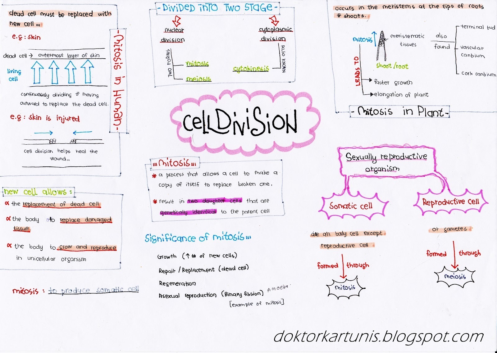 How To Study Biology In An Easy Way Brainlyin