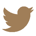 twitter-icon